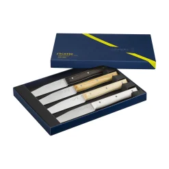 Coffret de 4 couteaux de table Facette Panaché