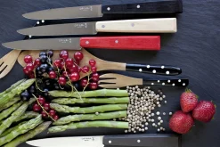 Couteau N°125 Charme